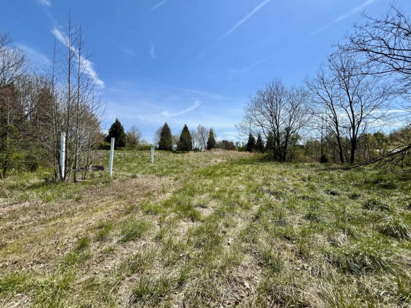 5-new_BridgepointTownHomes