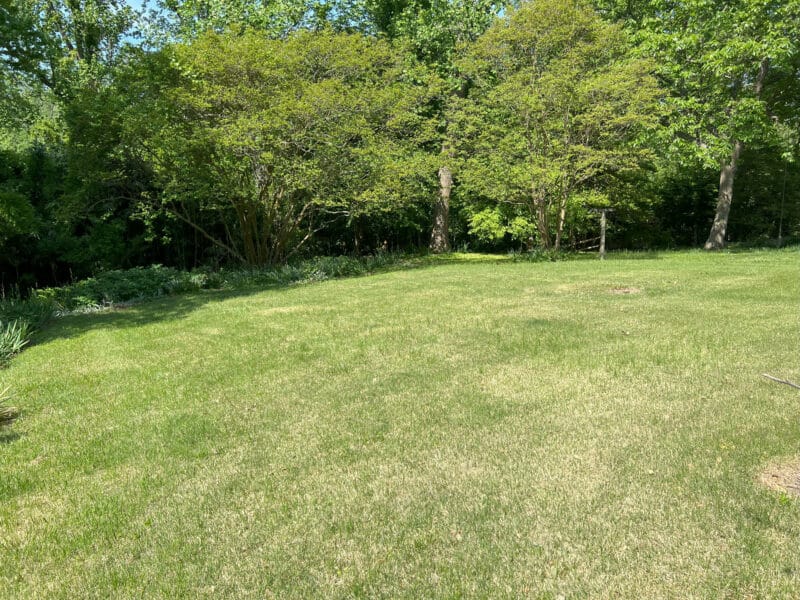 15_grandview1452