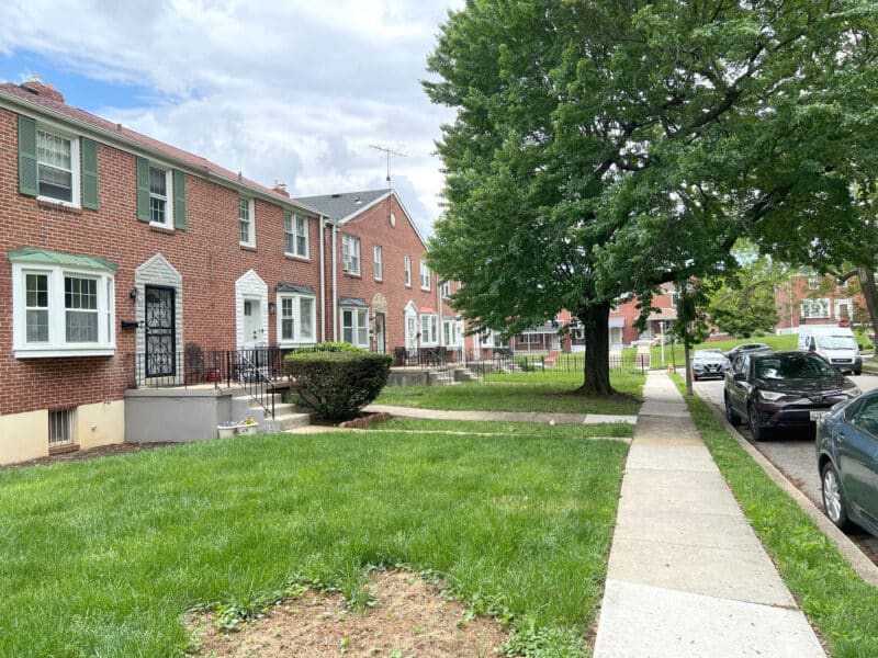 31_wedgewood813