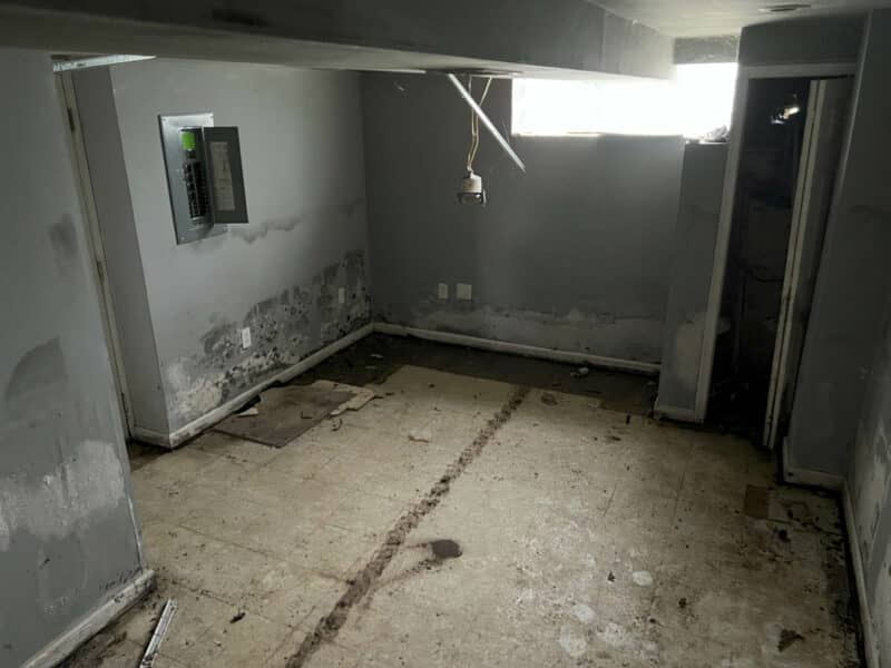 Basement utility room with exposed subfloor, gray painted walls and electrical panel.