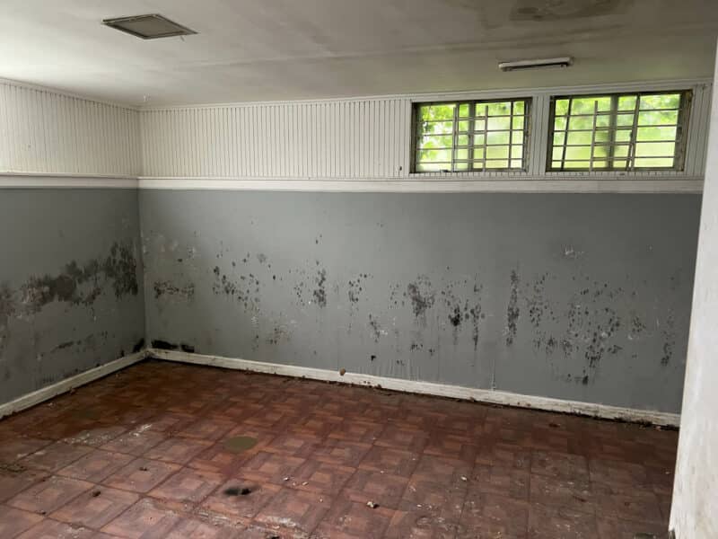 Basement room with tile flooring and high horizontal windows with security grates.