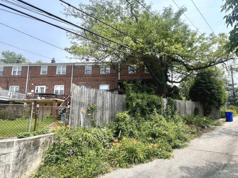 Wide rear view of brick townhomes in Woodlawn, MD, showing alleyway, utility lines, overgrown vegetation, and wooden fencing.