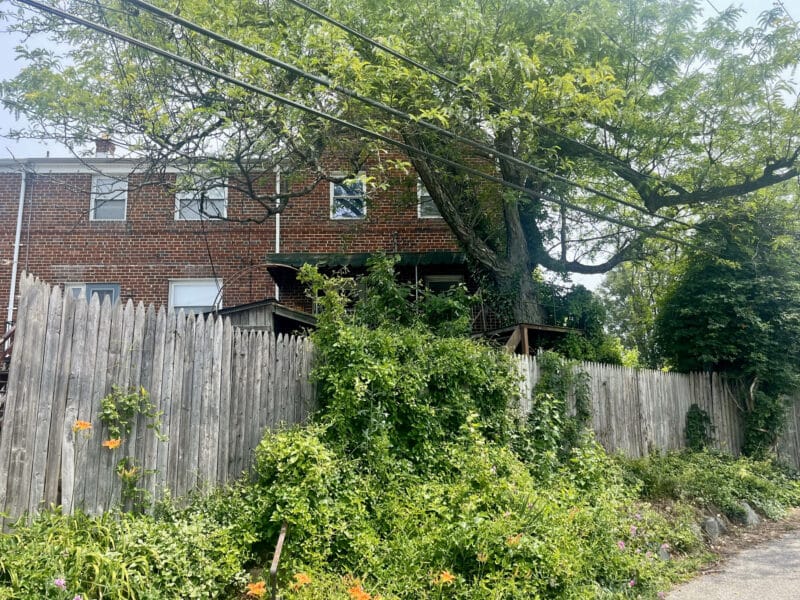 Rear of the home with fenced yard and alley access, showing deck structure and heavy vegetation at 5501 W. Forest Park Avenue.