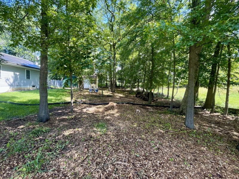 Closer view of partially wooded residential lot at 4812 Valley Forge Road in Randallstown, MD.