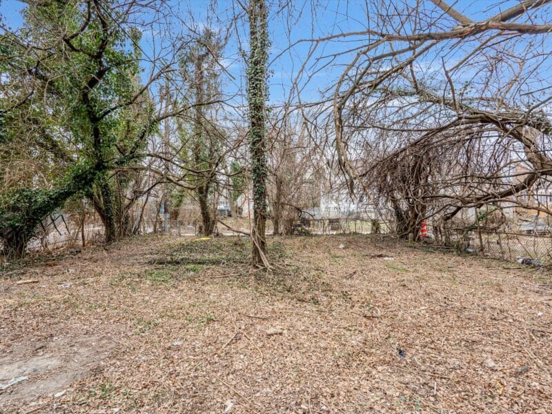 Back yard at 5248 Cordelia Avenue with open space, mature trees, and natural ground cover.