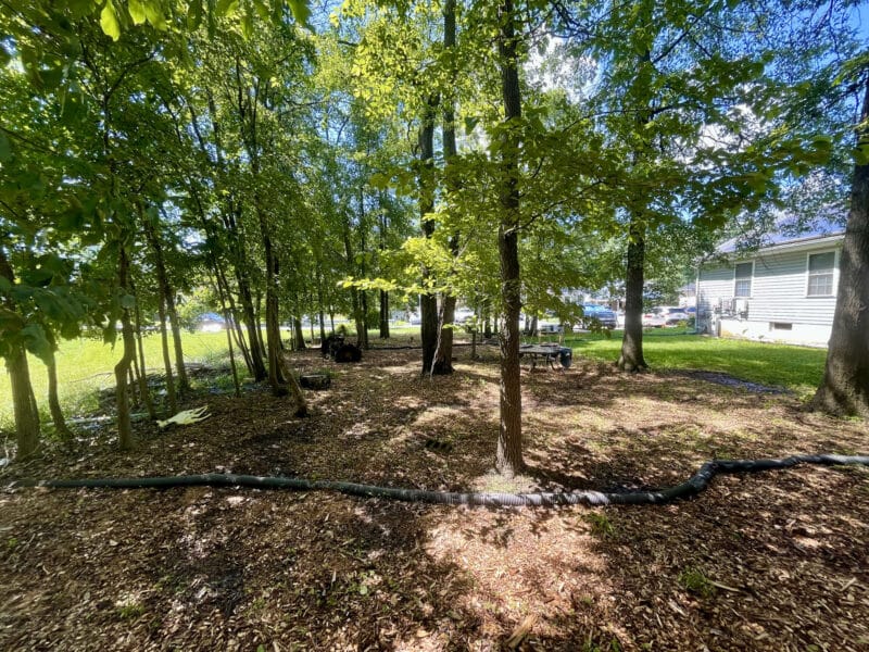 Residential lot at 4812 Valley Forge Road in Randallstown, MD, facing toward the street through shaded, wooded area.