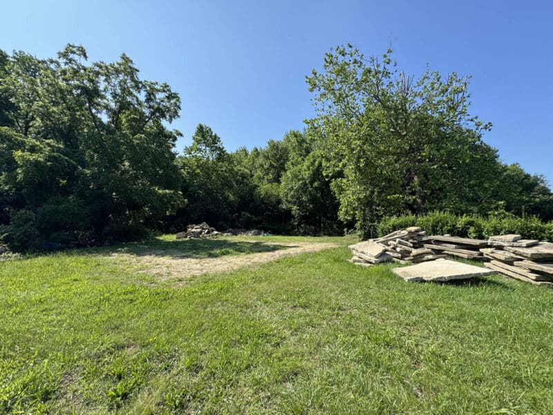 4_wampler517_site1