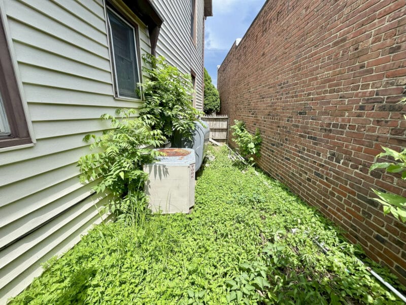 Narrow grassy side yard between office building and adjacent brick wall at 5706 Bellona Avenue