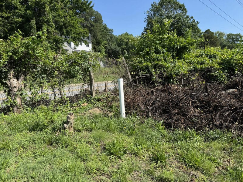 5_wampler517_site2