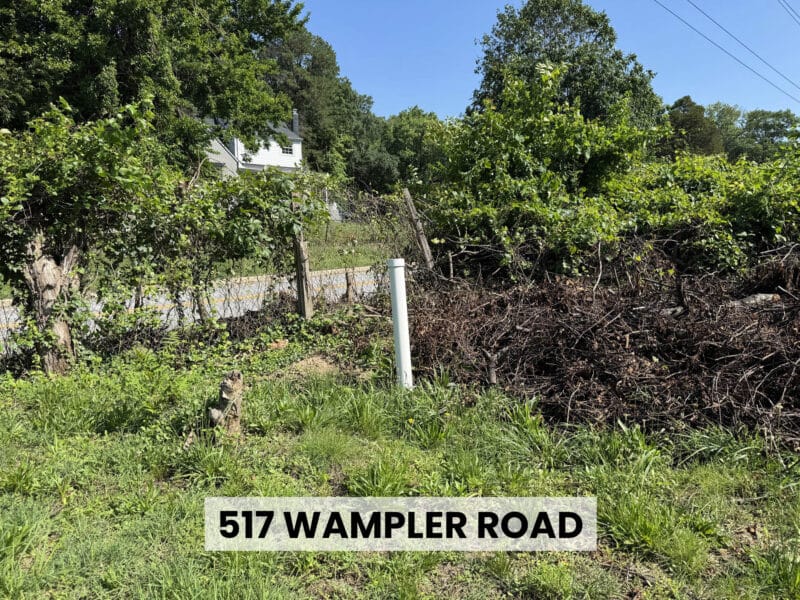 Overgrown roadside frontage with old fence posts, dense brush and mature trees along the Wampler Road development site in Middle River, Maryland.