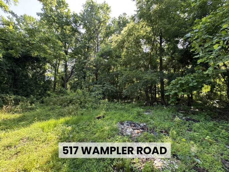 Clearing with exposed rubble and tree line on residential development site in Middle River, Maryland.