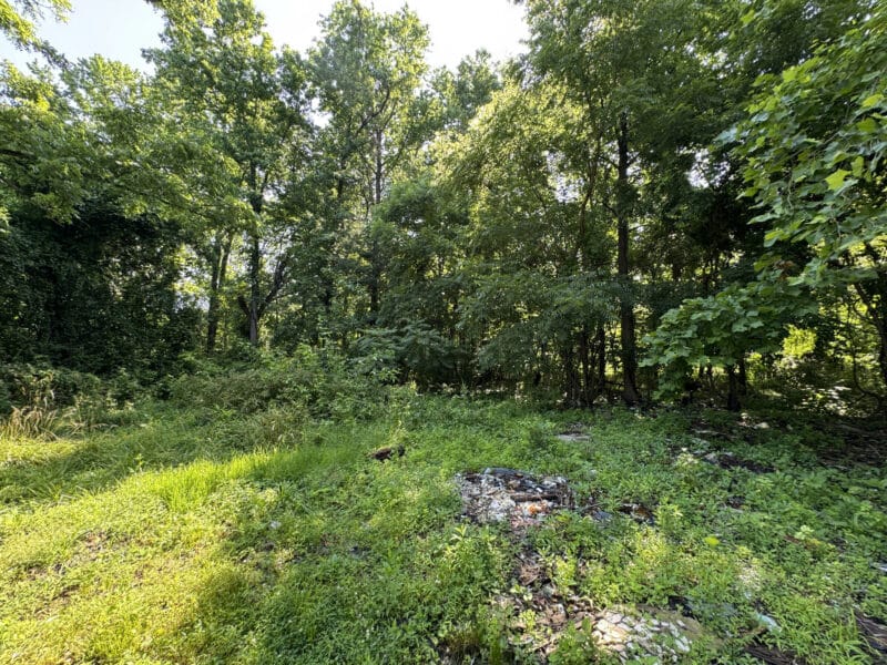 6_wampler527_site1