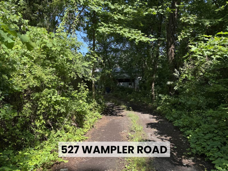Overgrown driveway leading to a single-family home surrounded by dense trees on the Middle River development site.