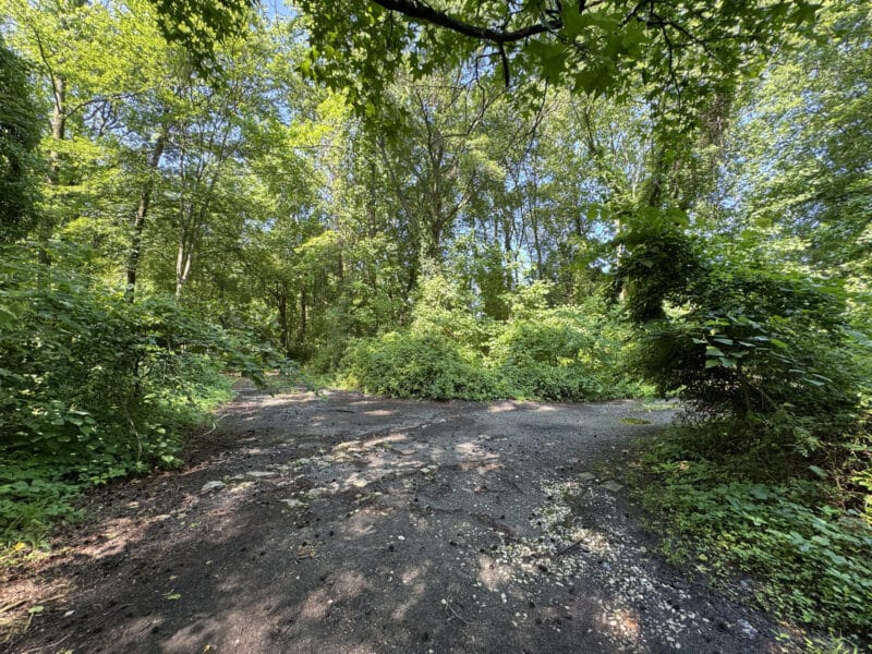 8_wampler527_site3