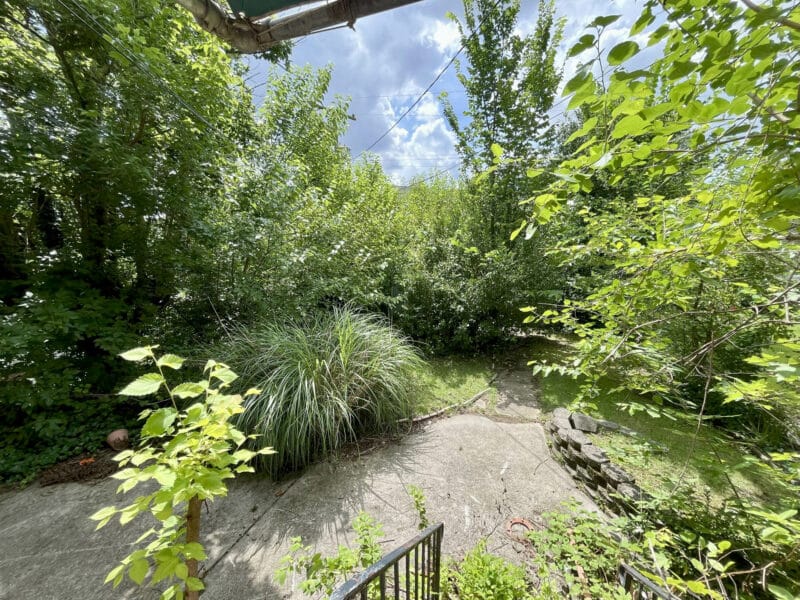 Overgrown rear yard with concrete patio and dense greenery surrounding the outdoor space.