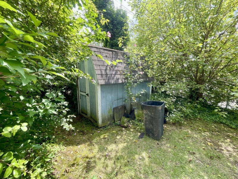 Wooden storage shed surrounded by overgrown vegetation in a shaded rear yard.