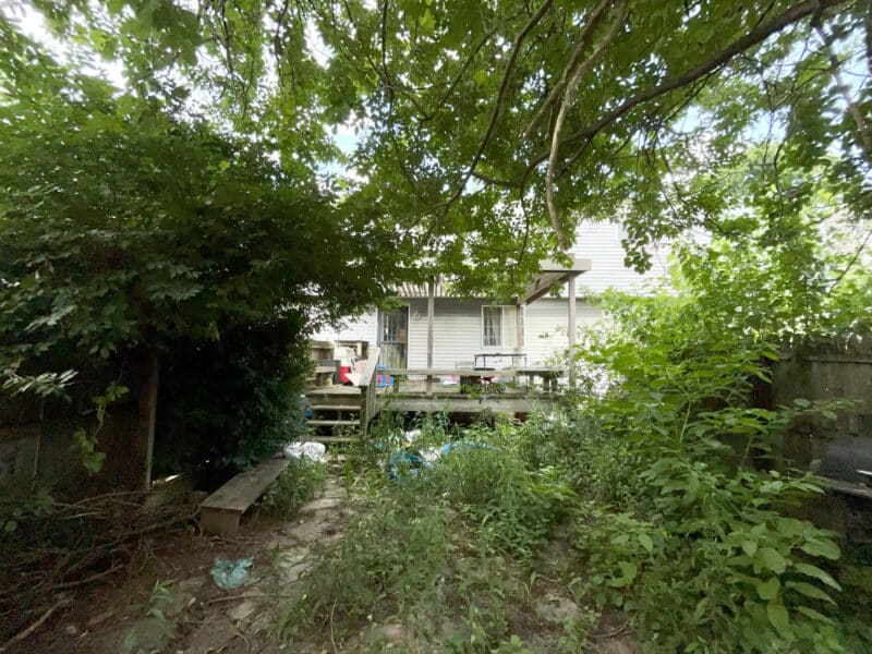 Overgrown rear yard with mature trees and view of deck and rear exterior at 12366 Bonfire Drive.