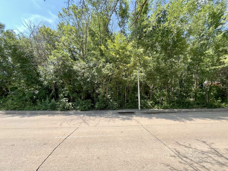 Direct street view of wooded lot fronting Sinclair Lane in the Frankford neighborhood of Baltimore City.