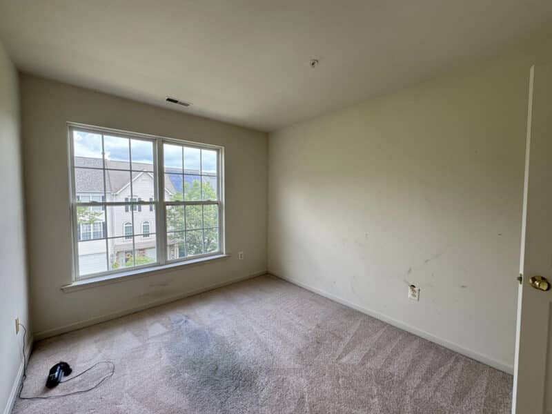 12_brooktree8239