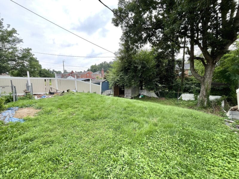Spacious rear yard with mature tree, overgrown grass, and partial fencing at 4902 Gilray Drive.
