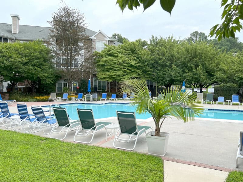 In-ground community swimming pool with lounge chairs, palm planters, and surrounding trees.
