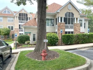 1_canterbury294E