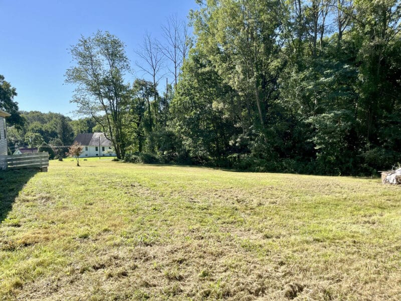 Backyard and rear lot with open grass and trees.