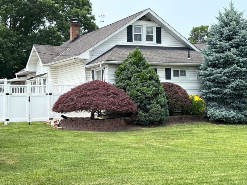 31_meadow7245
