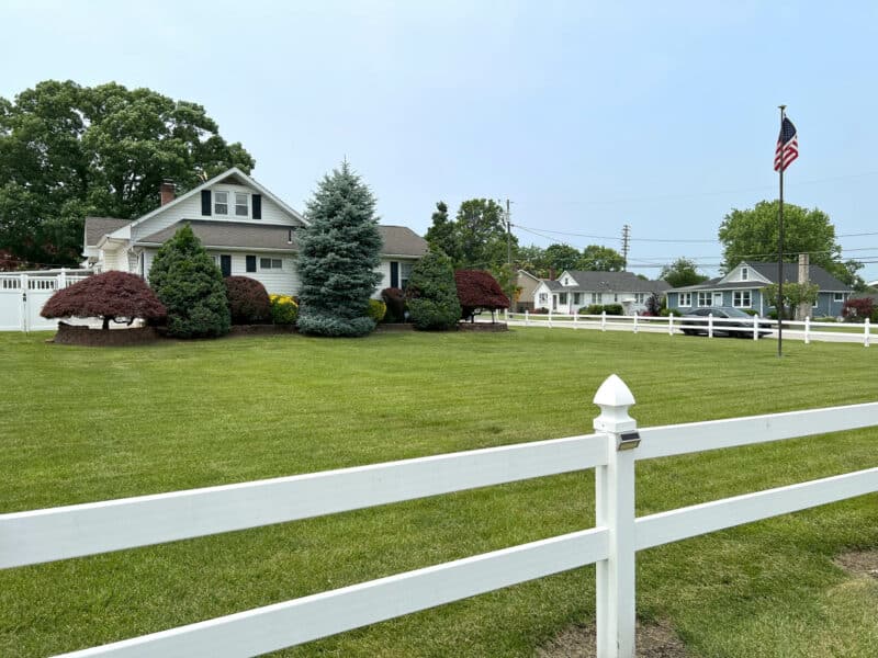 34_meadow7245