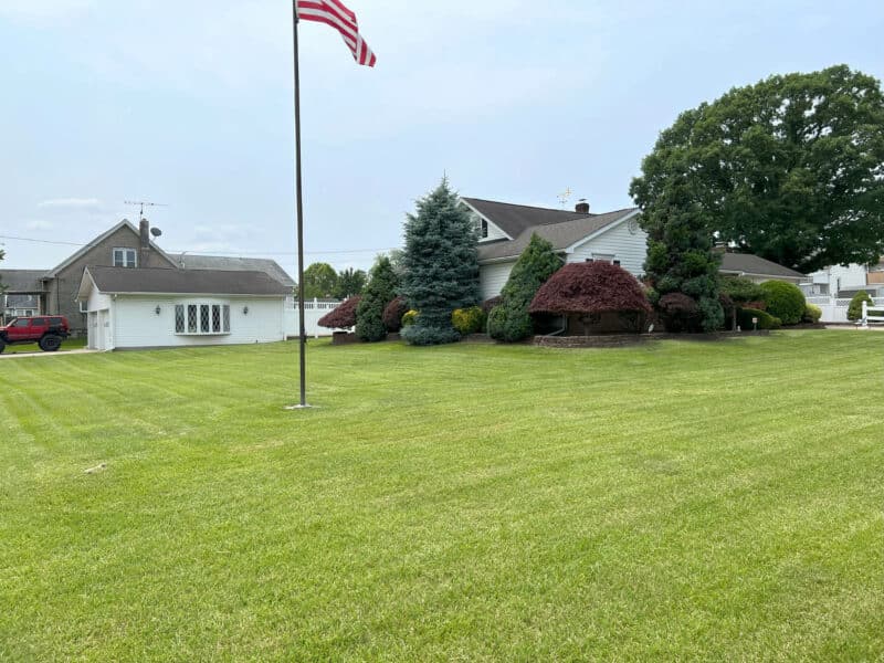 37_meadow7245