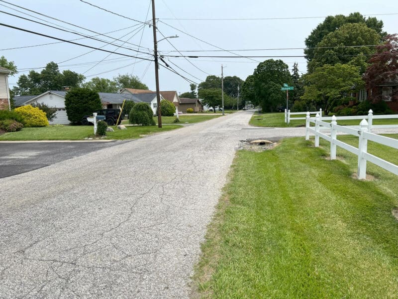 38_meadow7245