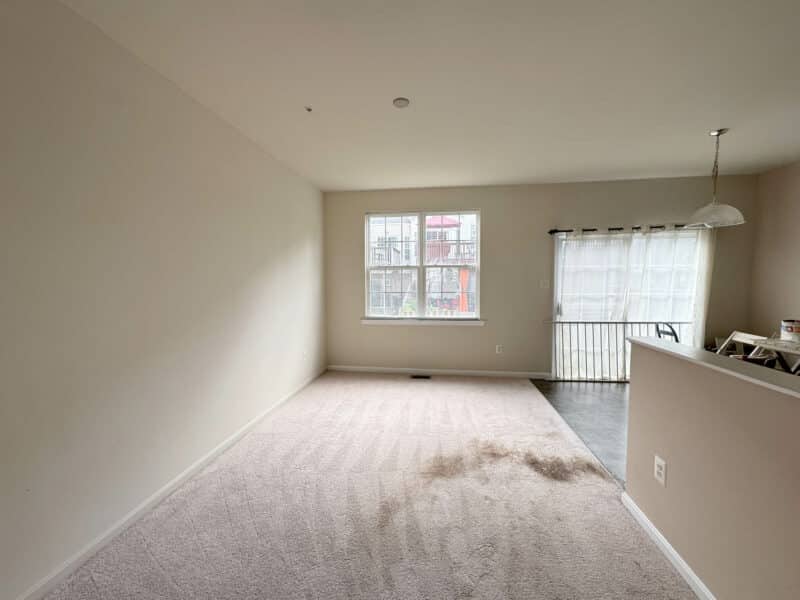 5_brooktree8239