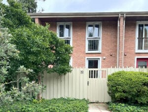 1_palmergreen50