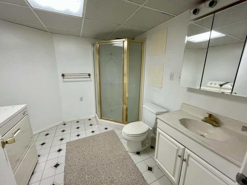 Basement bathroom with shower and white vanity in Dundalk Farms home.