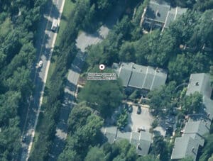 palmergreen50_birdseye-b