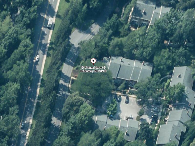 palmergreen50_birdseye-b