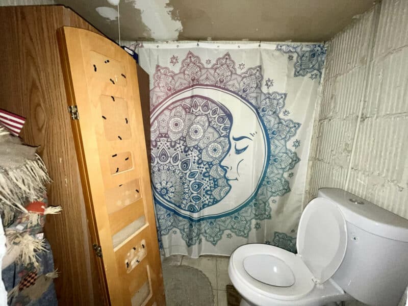 Basement bathroom with shower curtain, toilet, and unfinished walls.