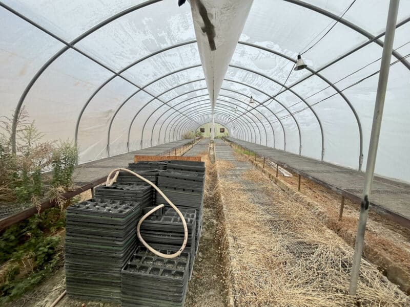 31_ridge4741-4745_greenhouse-interior