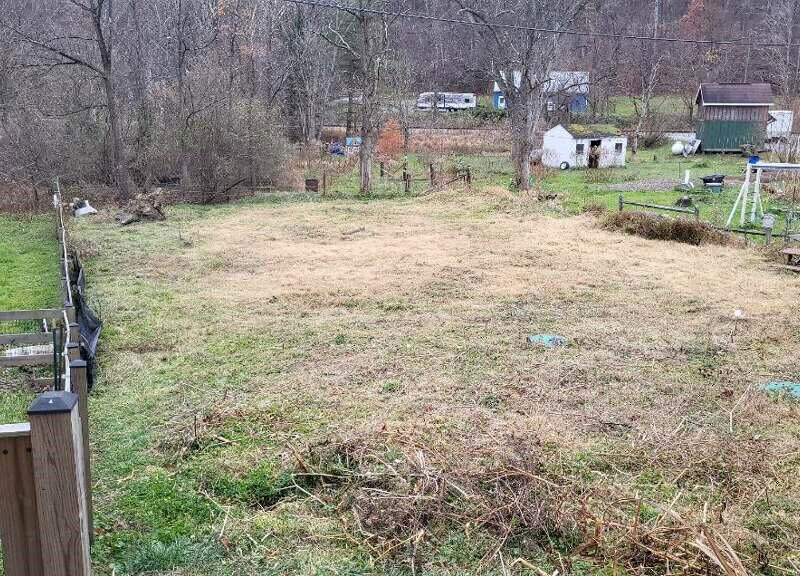 Rear yard of property showing grassy lot, fencing, and tree line.