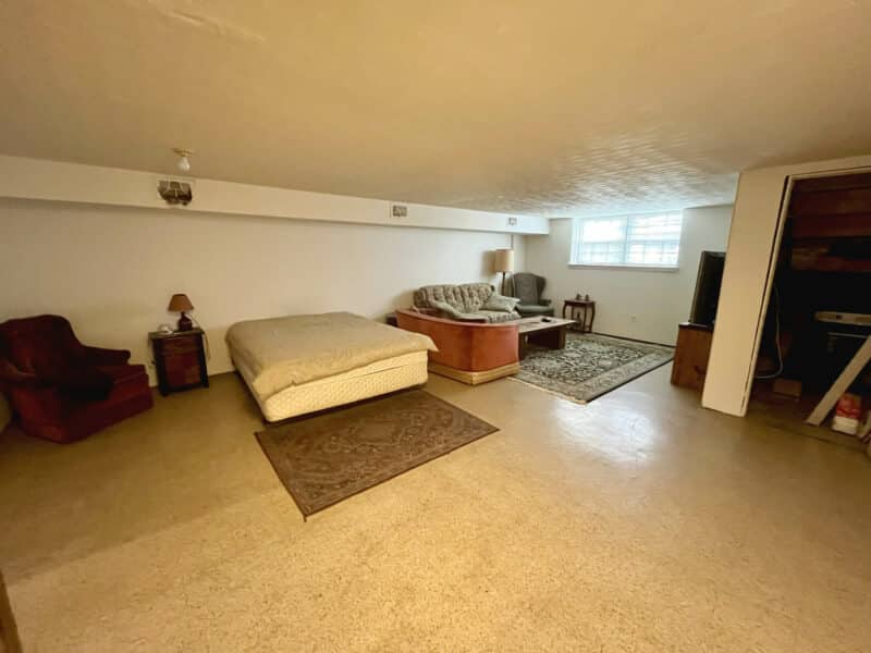 Large finished basement space with carpet flooring, seating area, and natural light in Arbutus townhome.