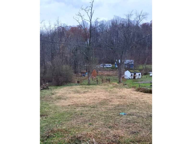 Vertical photo of rear yard with wooded hillside in background.