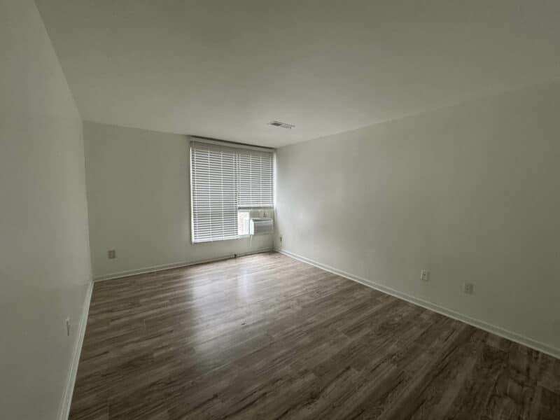 Second bedroom with large window, new vinyl flooring, neutral paint, and ample natural light.