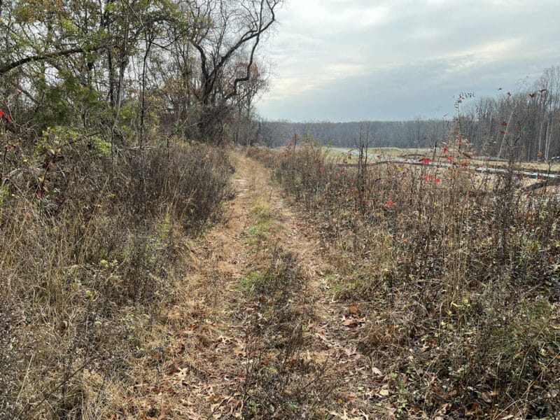 Cleared grassy and dirt pathway running through an open field with trees in Middle River, MD.