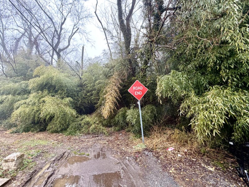 Start of the unimproved lots on Carroll Street in the Catonsville Manor area of Baltimore County.