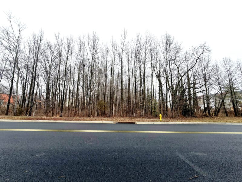 Wooded development parcel frontage along Sand Pebble Drive in Edgewood Harford County Maryland near US-40 Pulaski Highway.