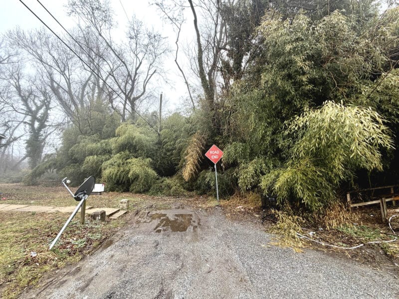 Wide view of the start of the unimproved lots on Carroll Street in the Catonsville Manor area of Baltimore County.