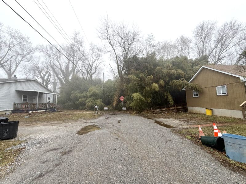 Additional wide view of the start of the unimproved lots on Carroll Street in the Catonsville Manor area of Baltimore County.