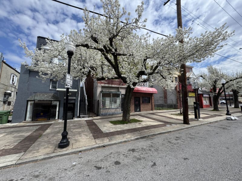 Wide view of commercial corridor with storefronts, sidewalks, and street traffic