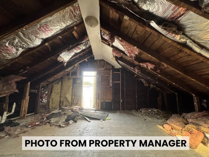 Unfinished attic at 4900 Curtis Avenue in Baltimore showing exposed roof rafters, insulation, wooden framing, and construction debris.